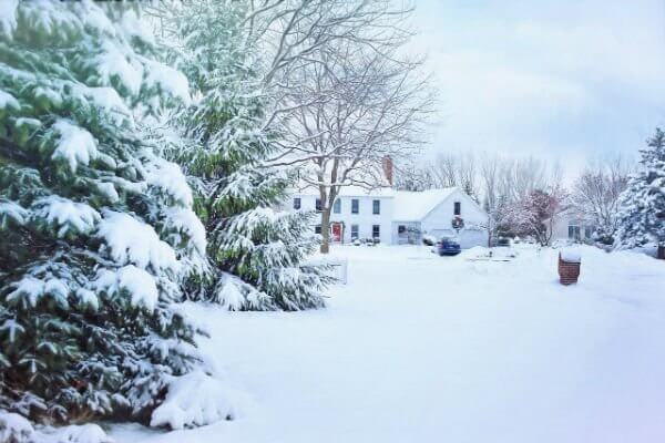 winter scene