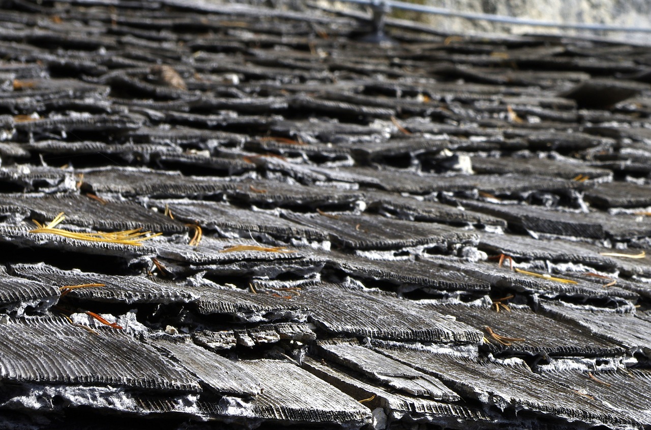 Wood rot on roof.