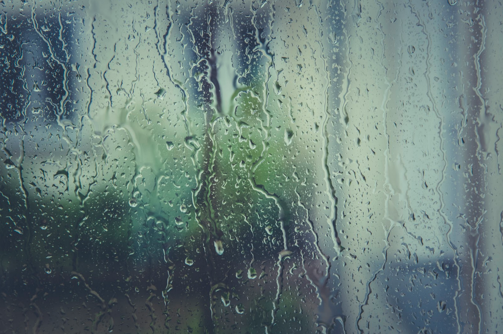 Window condensation.
