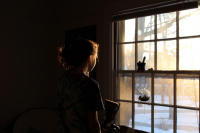 Do I need new windows?