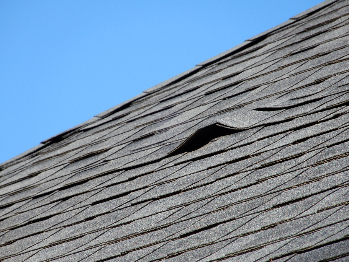 Curling roof shingles.