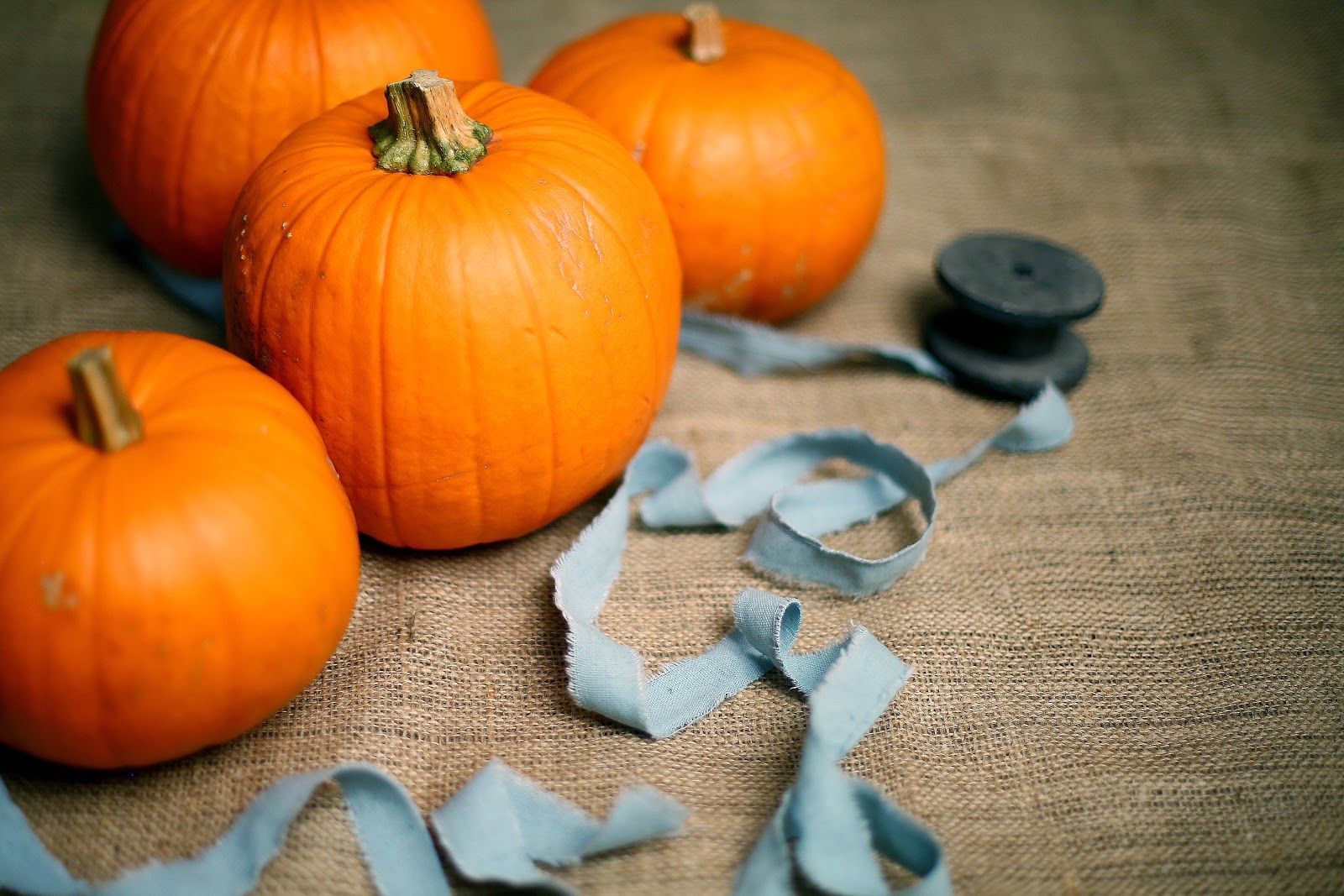 Seasonal home improvement.