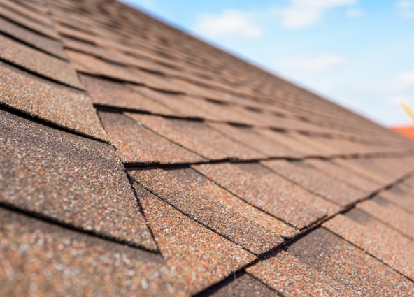 Roof Shingles