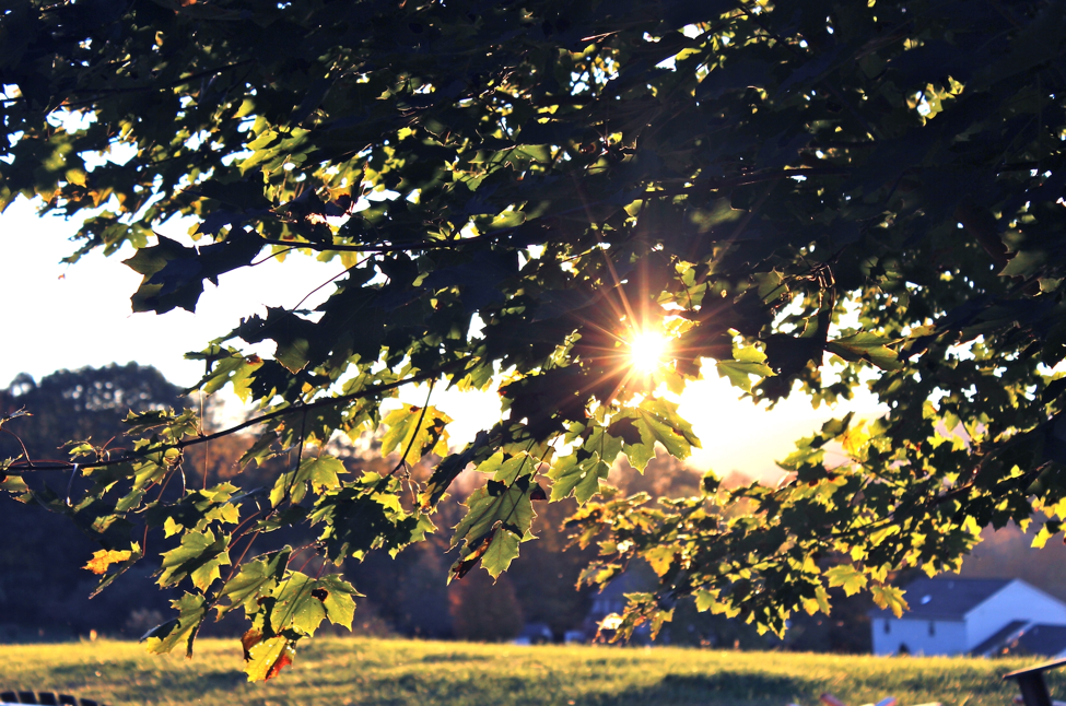 Seasonal roof damage.