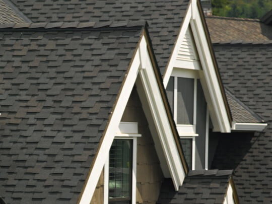 black shingle roof