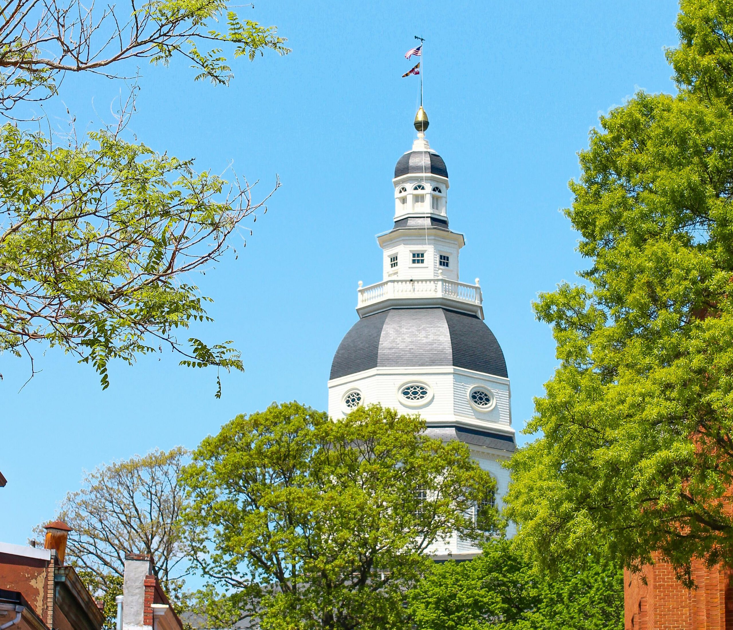 annapolis image of the state house dome with trees on the sides, red brick building in the lower right