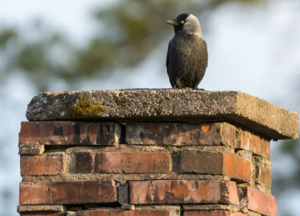 How does my chimney work?