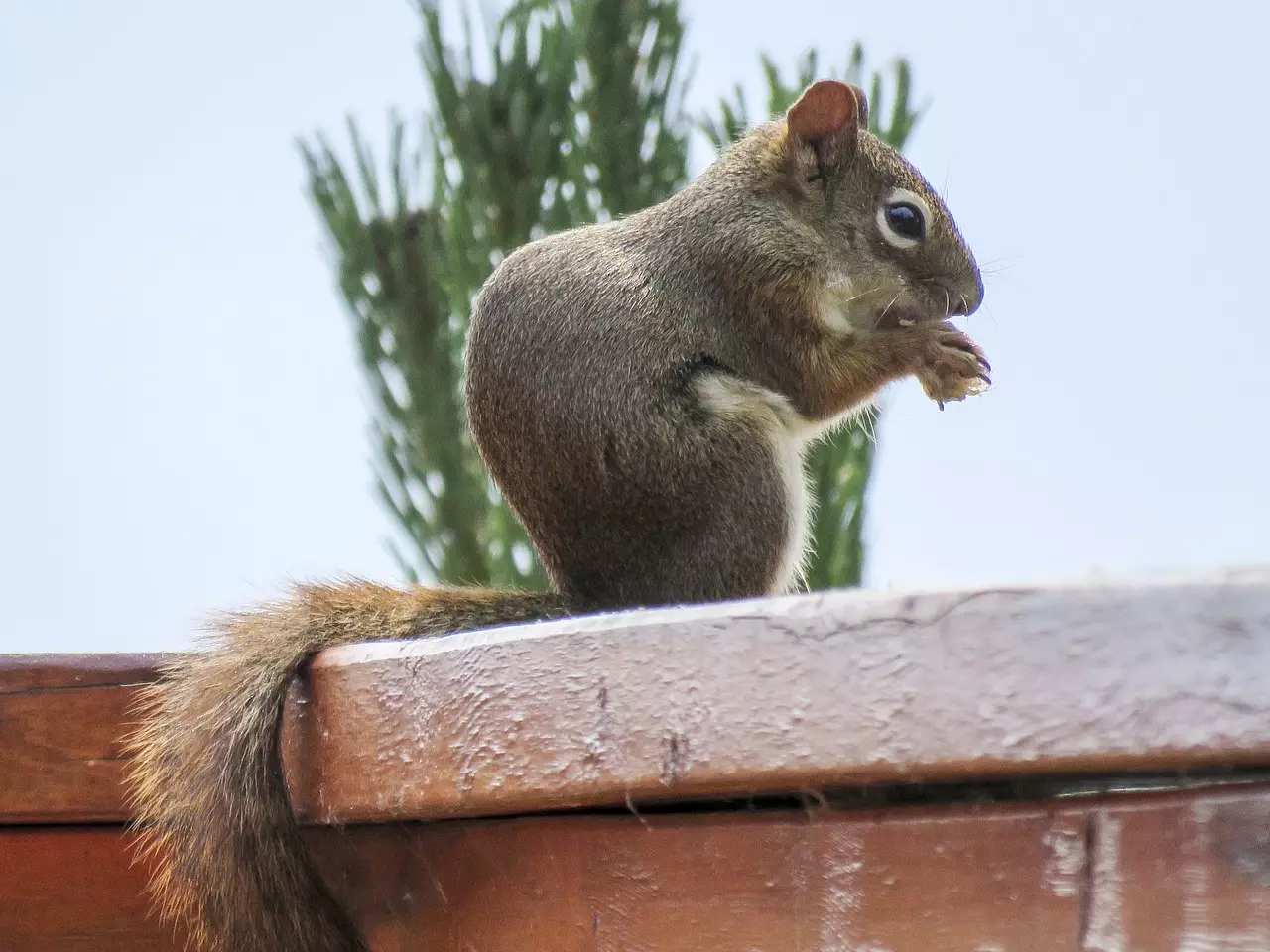 Benefits of a fixer-upper.