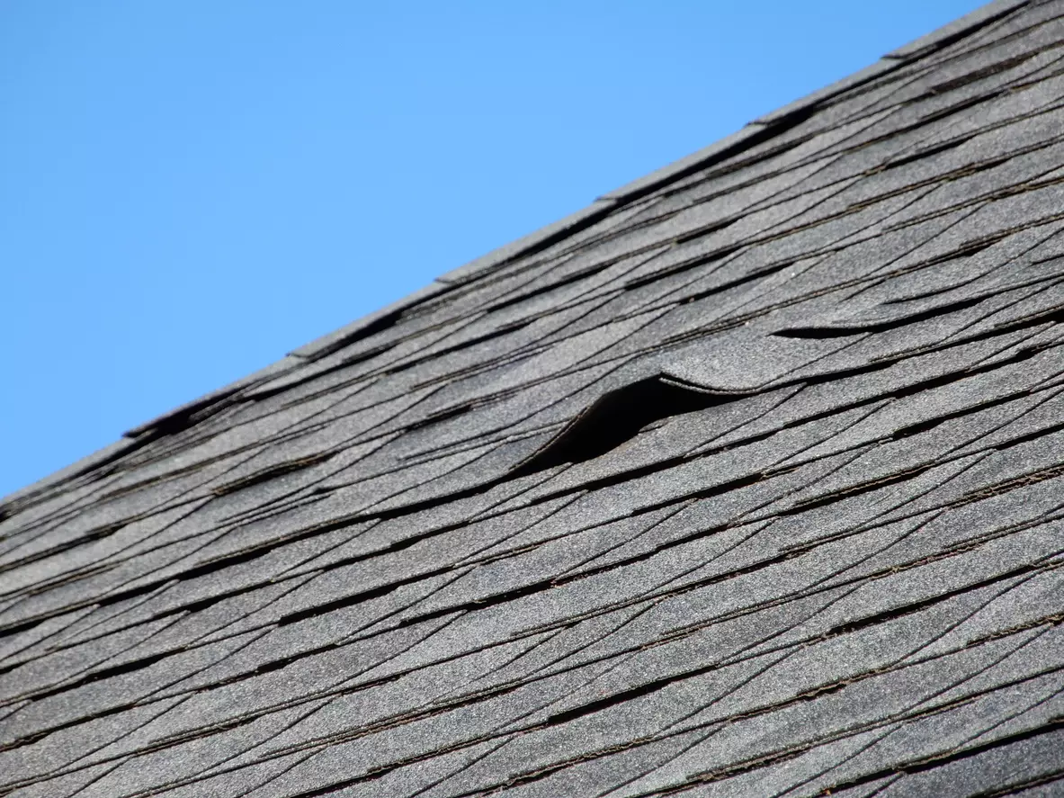 Curling roof shingles.