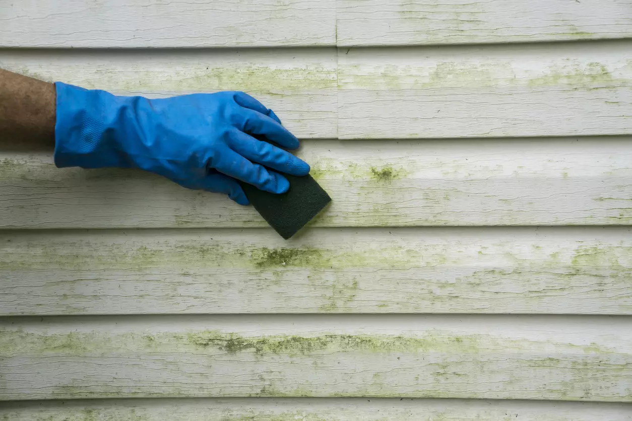 Vinyl siding for home.