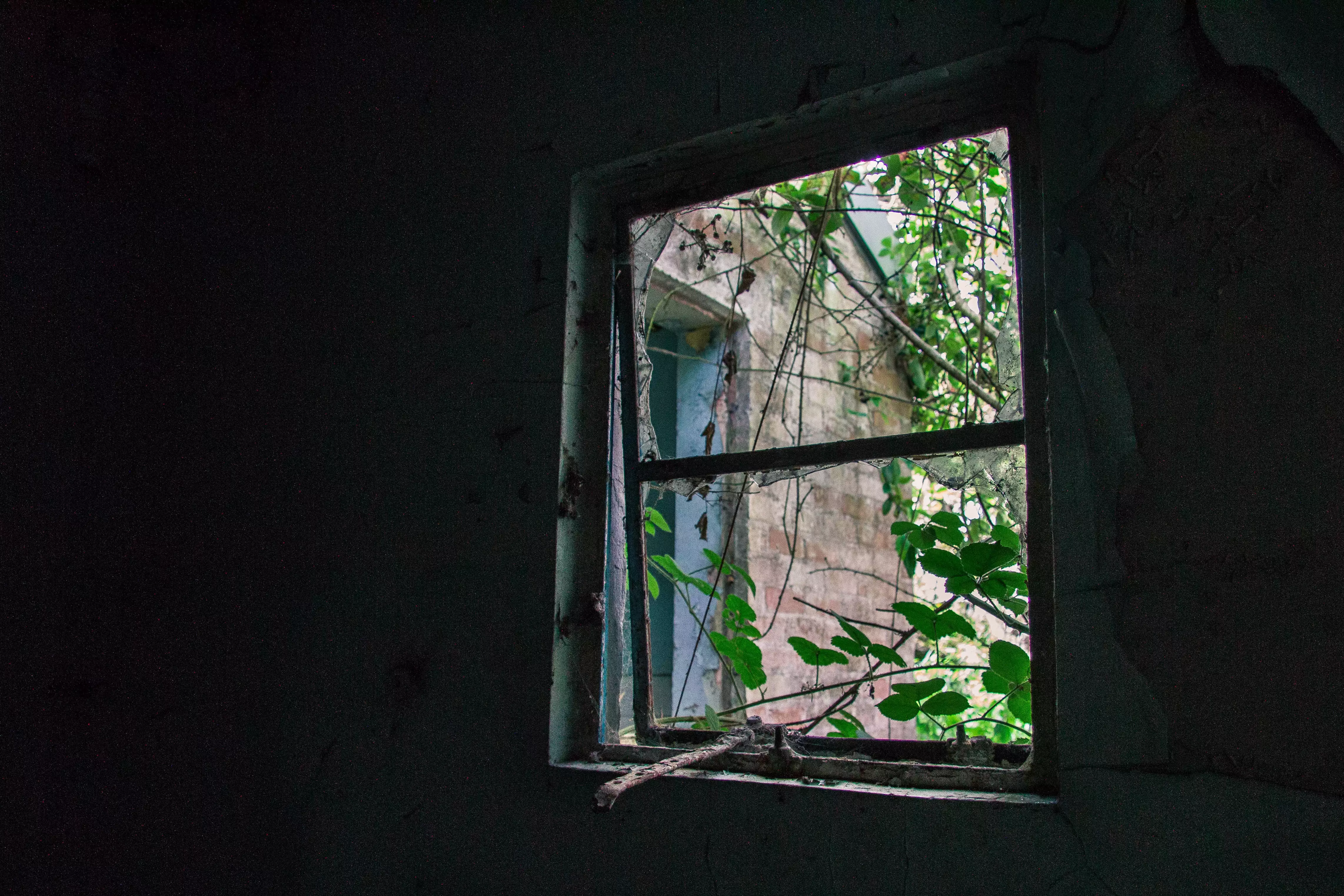 Can you DIY window replacement?