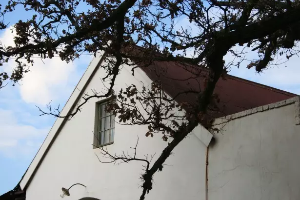 Gutter cleaning tips.
