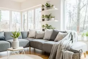 living room windows