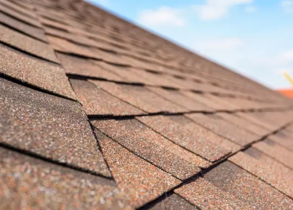 Roof Shingles