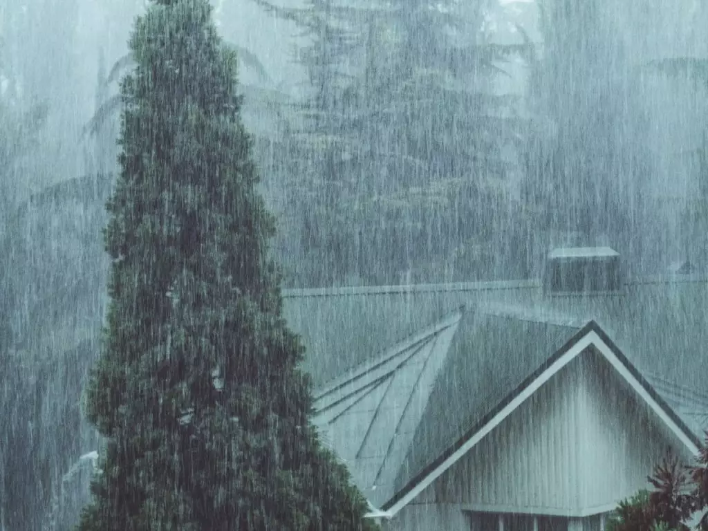 Raining on a metal roof